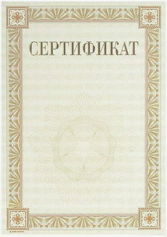 Скриншот 24-12-2025 174546